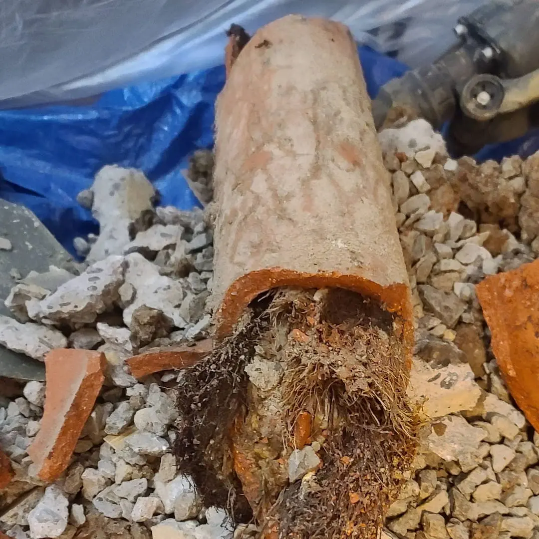 Close-up of a broken clay sewer pipe filled with invasive tree roots, surrounded by rubble and debris on a construction tarp, illustrating pipe damage and blockage typically found during plumbing excavations.